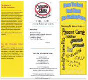 Choking Game Brochure for Teens